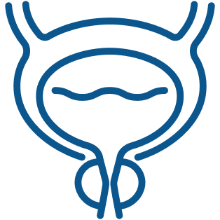 What Causes BPH